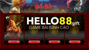Giới thiệu chi tiết nhất về hình thức đá gà Hello88
