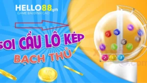 Giới thiệu hình thức đánh bạch thủ lô kép