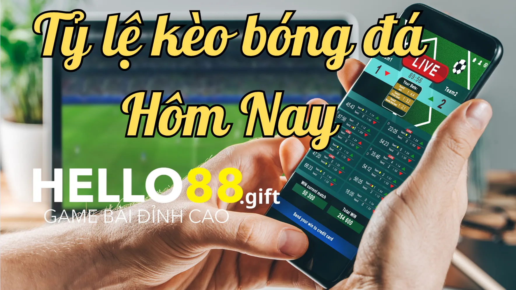 Tỷ lệ kèo bóng đá hôm nay Tỷ lệ kèo bóng đá hôm nay