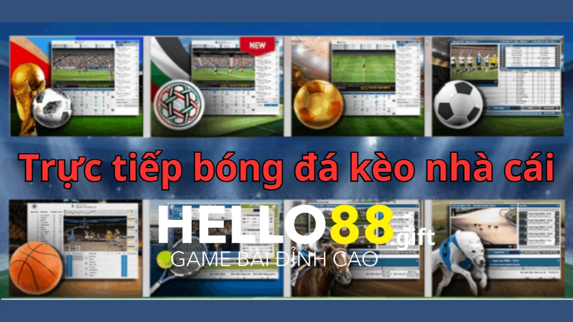 Trực tiếp bóng đá kèo nhà cái